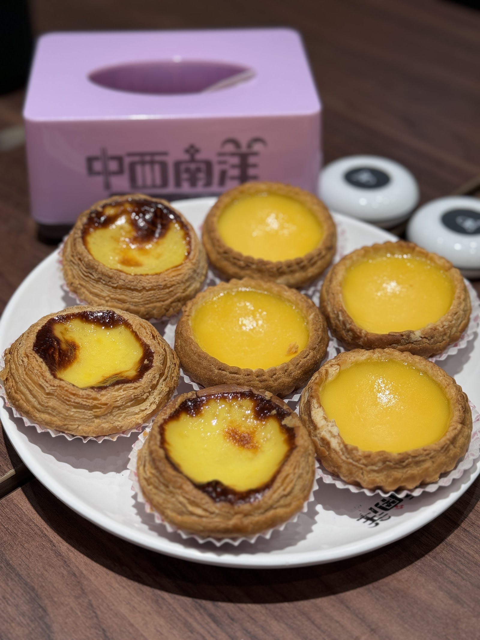 中西南洋 5